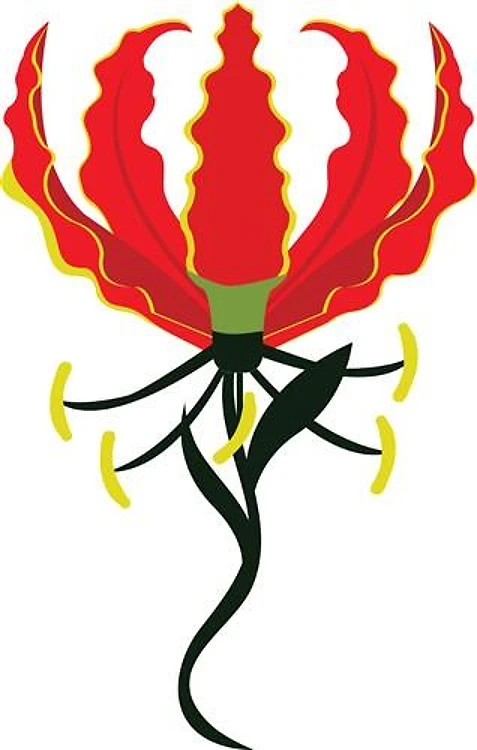 Glory Lily