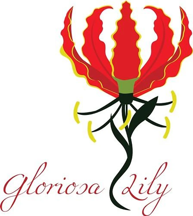 Gloriosa Lily