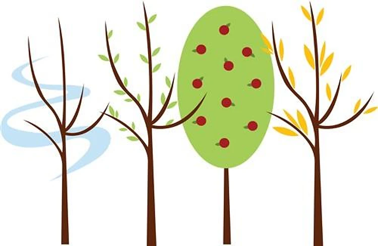 Four Seasons