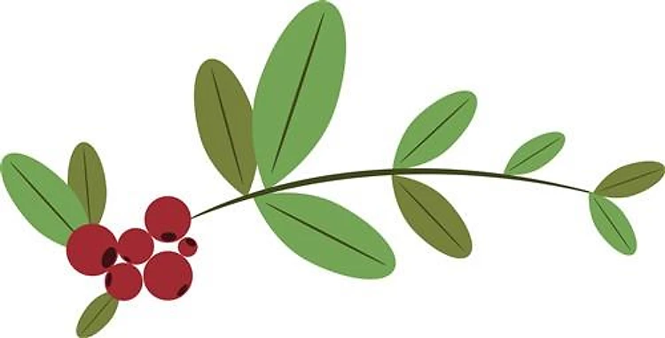 Lingonberries