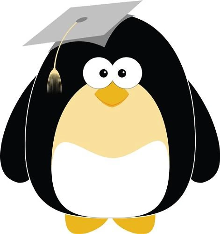 Graduation Penguin