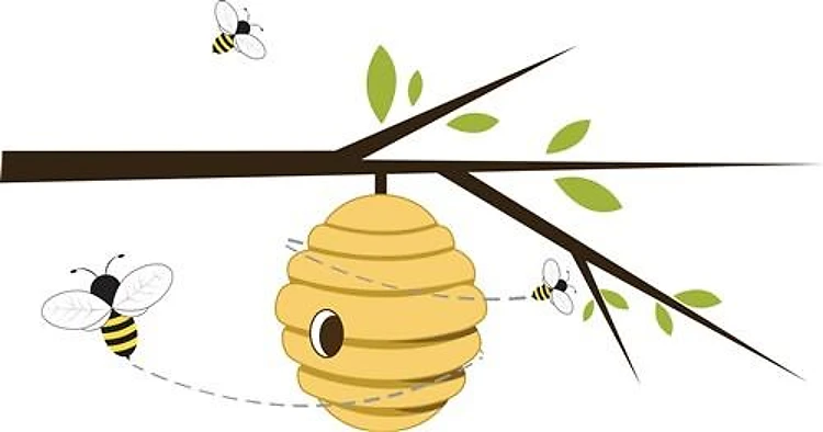 Bee Hive