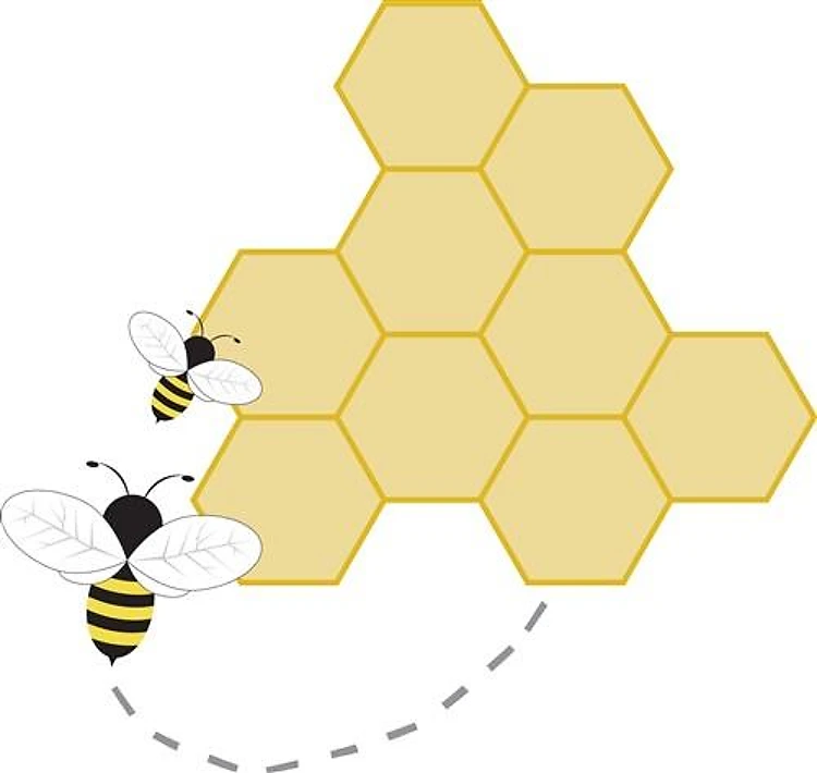 Honeycomb