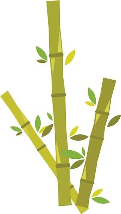 Bamboo