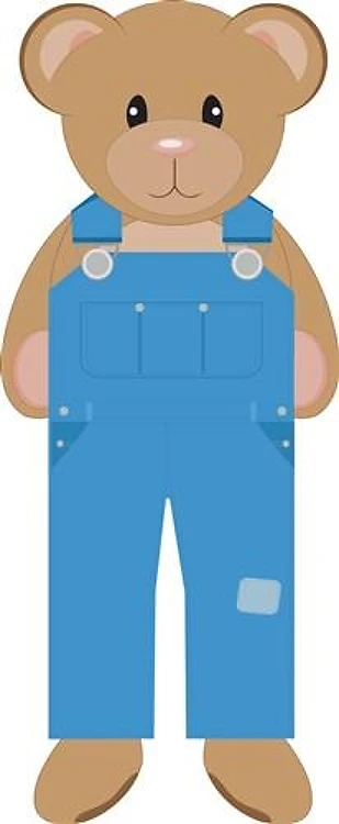 Country Teddy