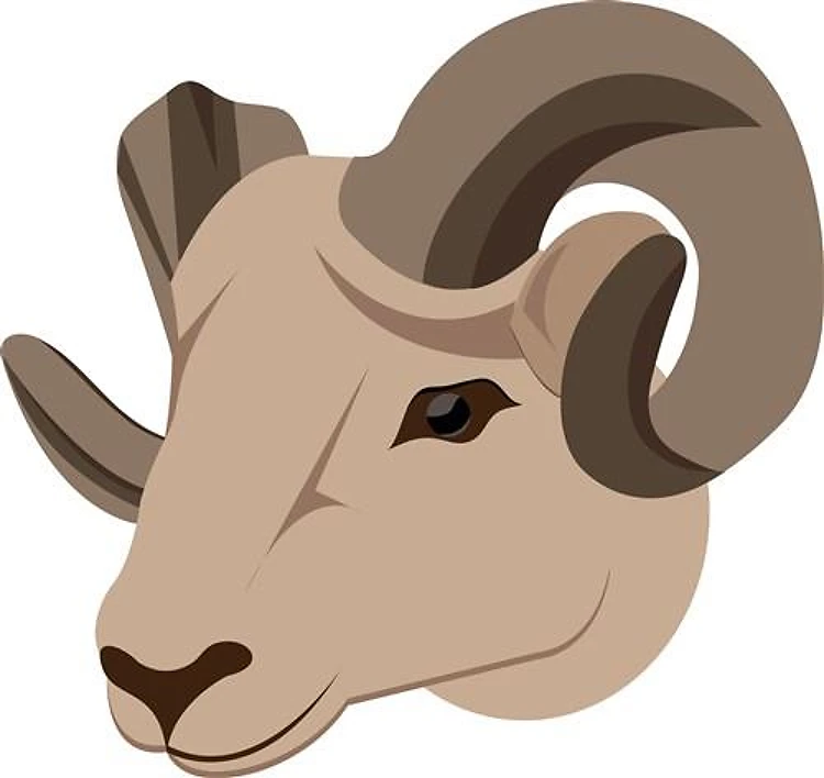 Ram