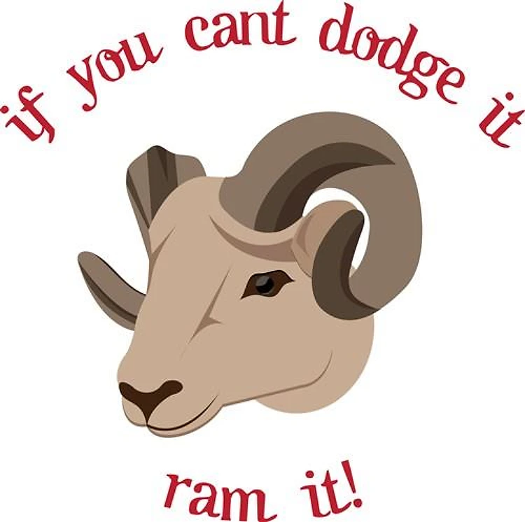 Ram It