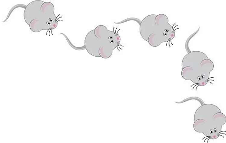 Little Mice