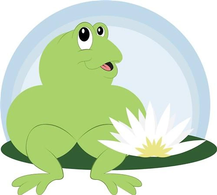 Cute Frog