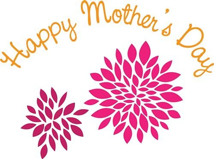 Mothers Day Mums