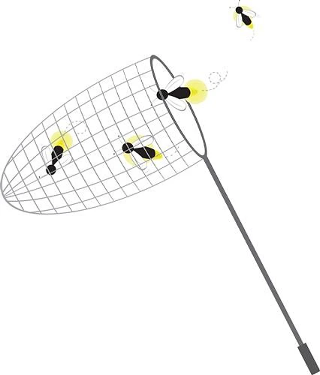 Bug Net