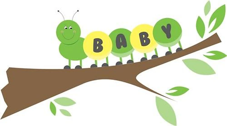 Baby Caterpillar