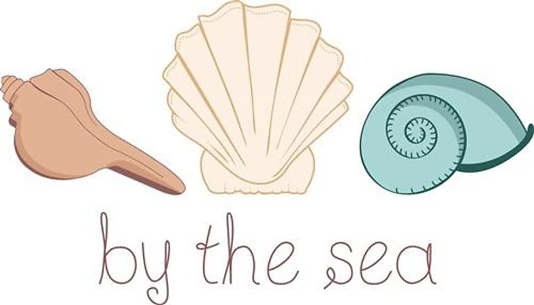 Shells By The Sea