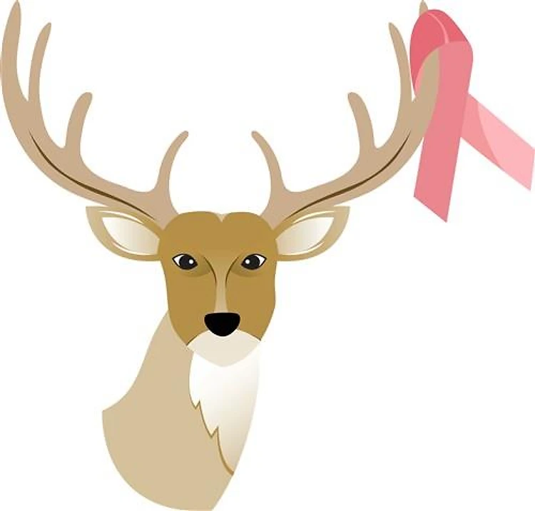 Awareness Deer