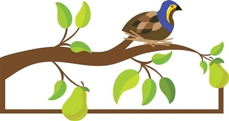 Partridge