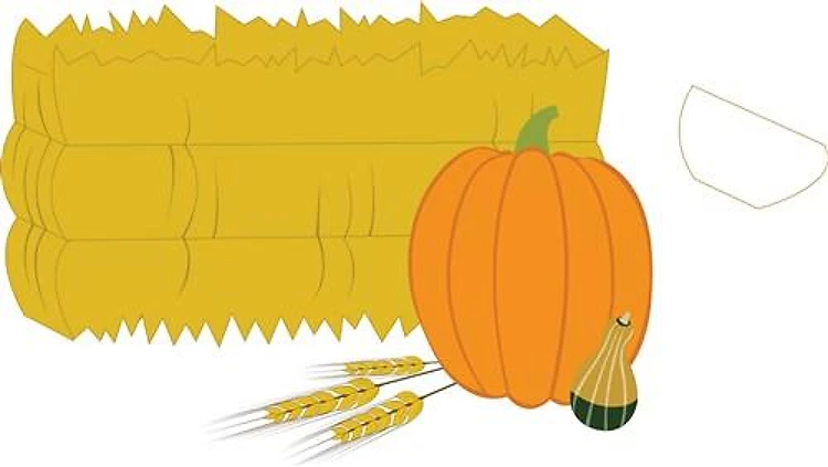 Fall Gourds