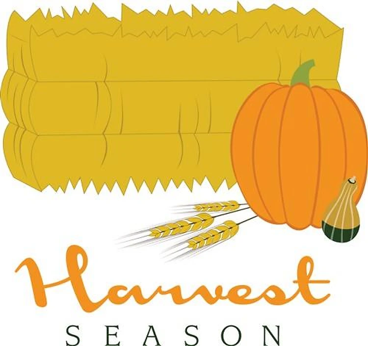 Harvest Season