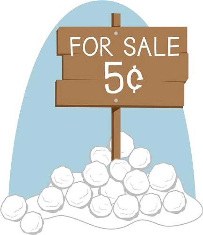 Snowballs For Sale
