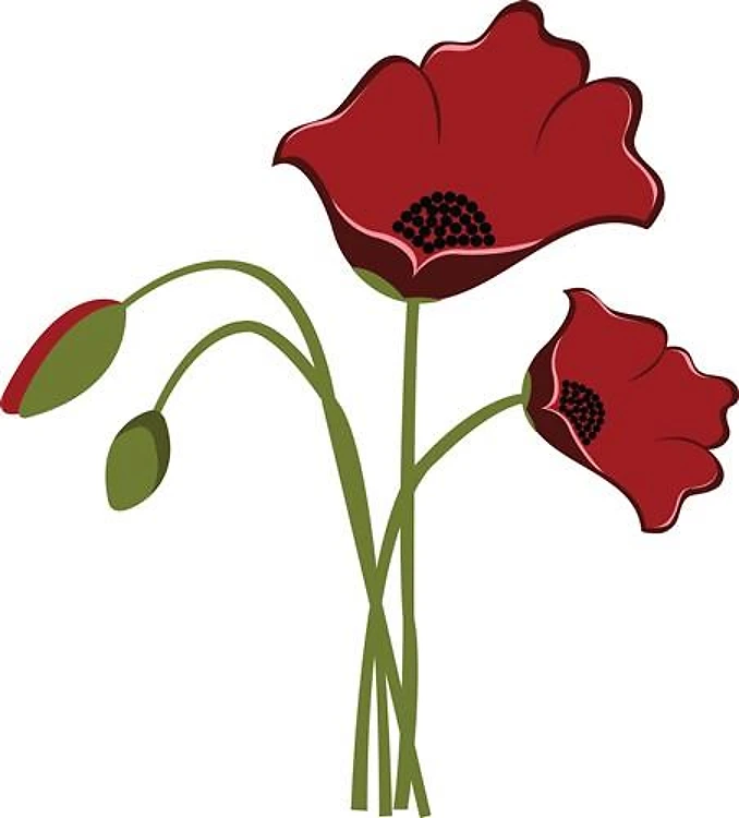 Bunch of Poppies