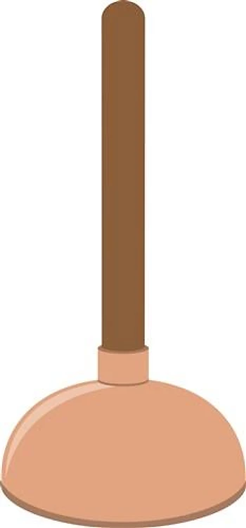 Plunger