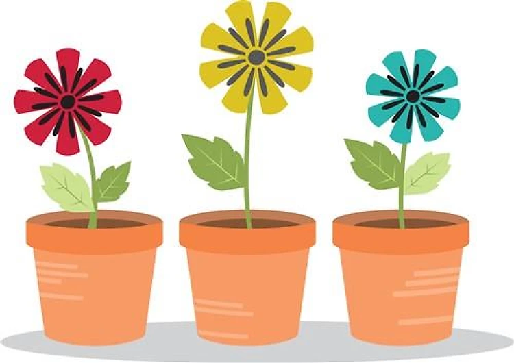 Flower Pots