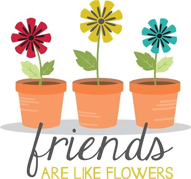 Friends Flowers