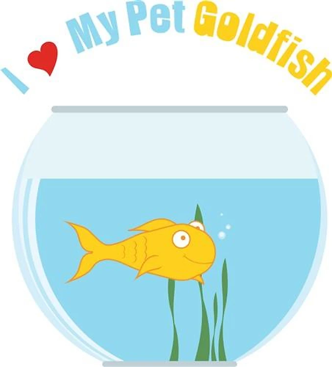 Pet Goldfish