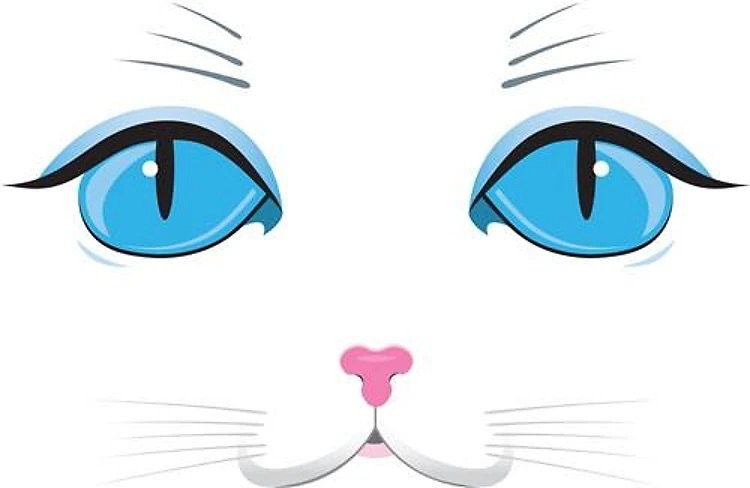 Cat Face