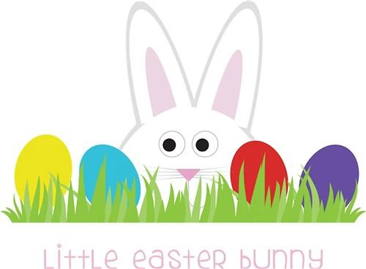 Little Easter Bunny