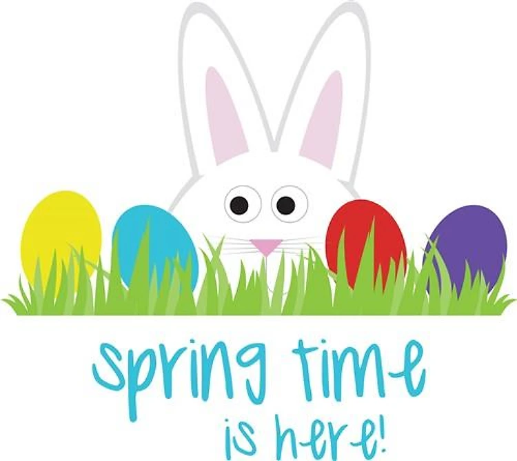 Spring Bunny