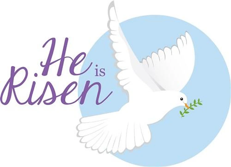 Risen Dove