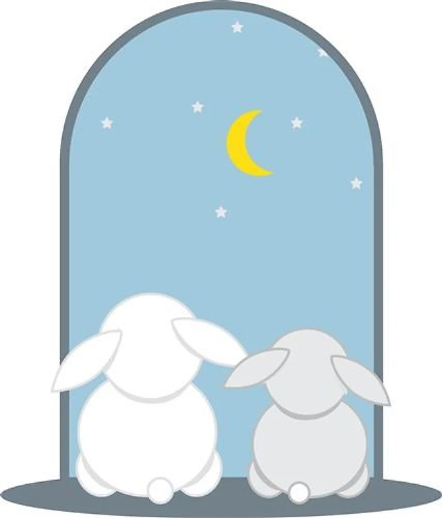 Bunny Night