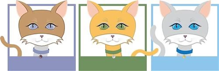 Cat Face