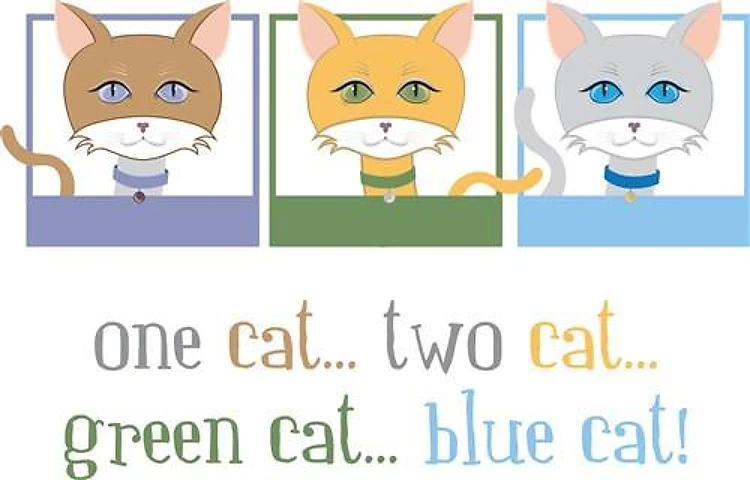 One Cat...