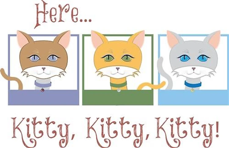 Here...Kitty