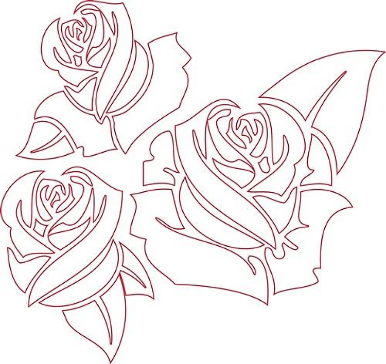 Outline Roses