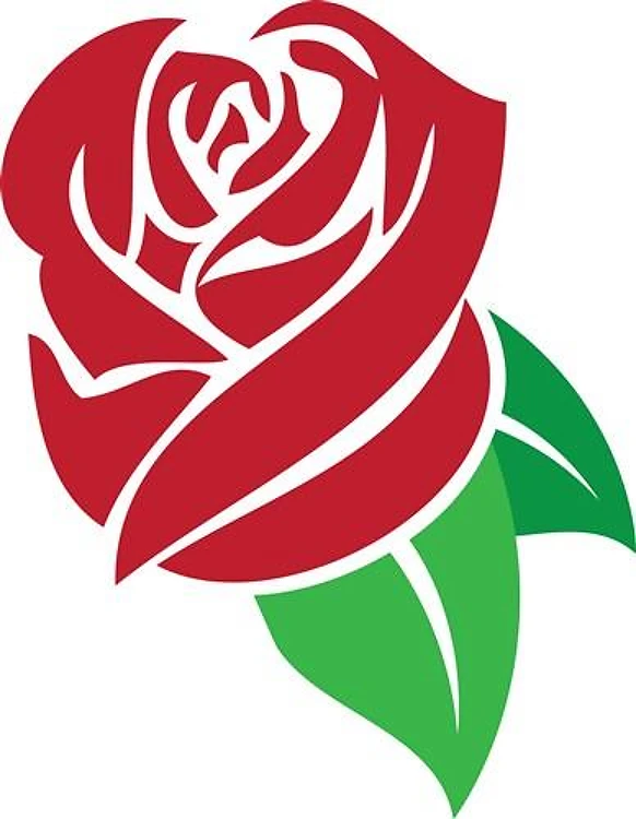 Red Rose