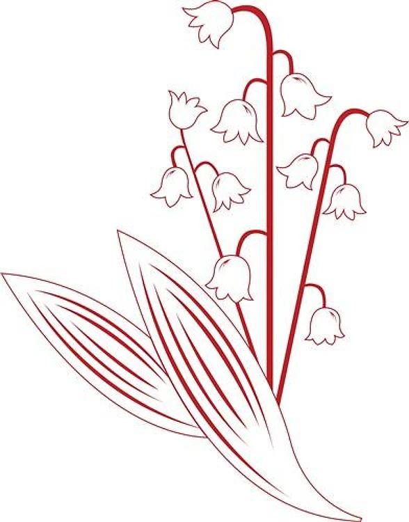 Lily Of The Valley