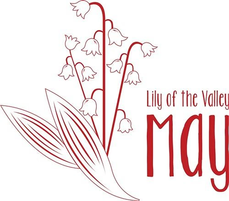 May Lily