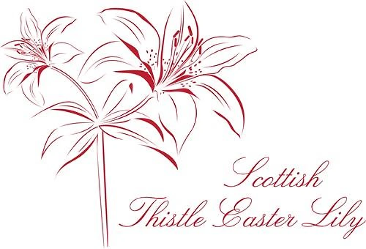 Easter Lily