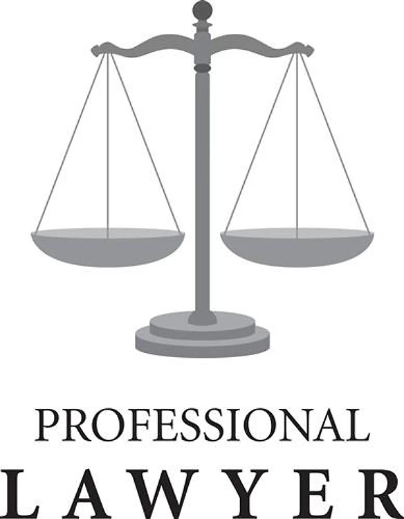 Professional Lawyer