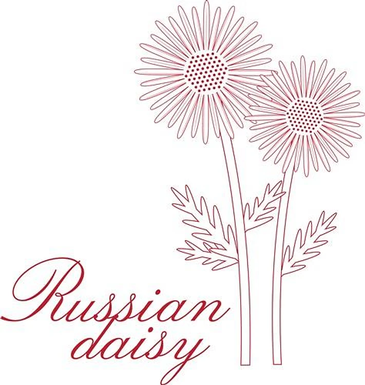 Russian Daisy