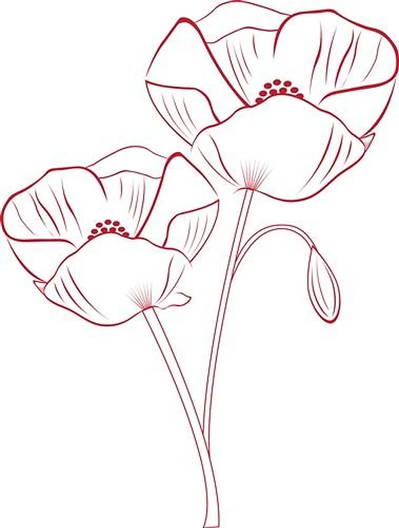 Poppy Ooutline