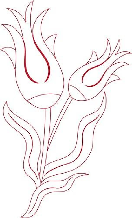 Tulip Outline