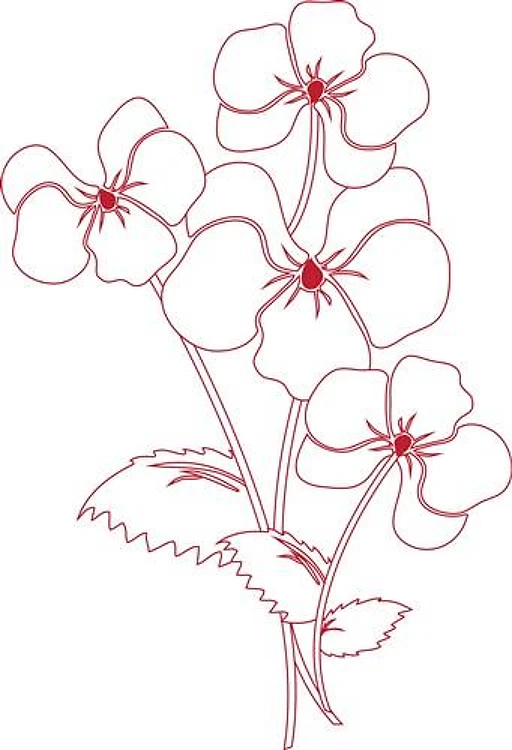 Violet Outline