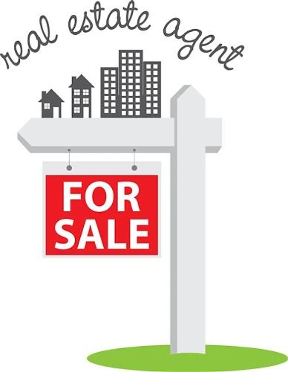 Real Estate Agent
