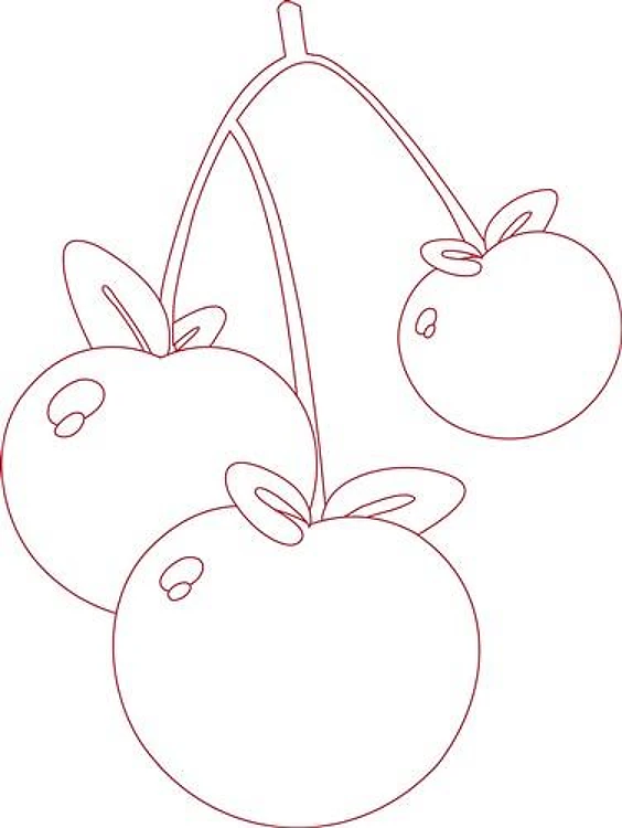 Cherry Outline