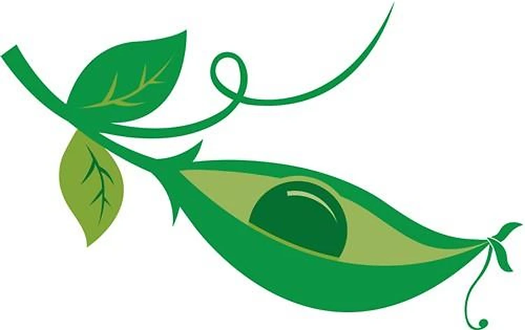 Pea in Pod