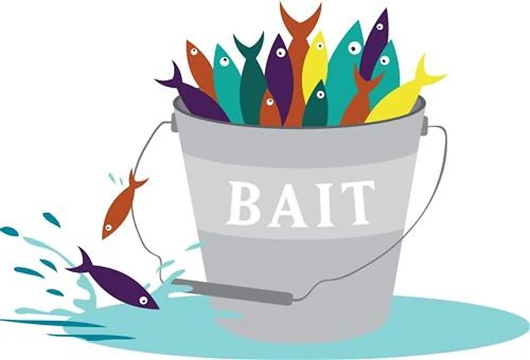 Fish Bait