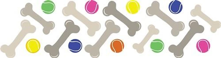 Bones & Balls Border